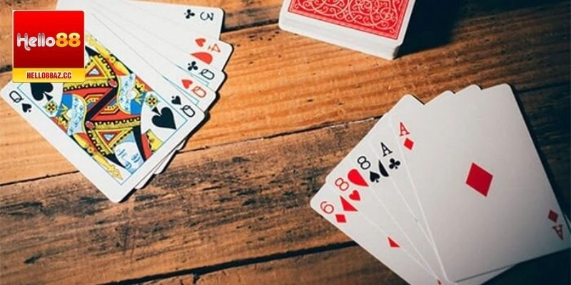 Bài câu cá thịnh hành và thu hút đông đảo người chơi trải nghiệm