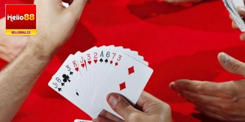 Bật mí cách chơi bài câu cá giúp hội viên thắng lớn