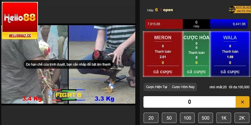 Chơi đá gà tại sảnh AOG Hello88 uy tín