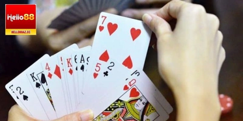 Diễn biến ván bài câu cá dễ hiểu cho tân binh